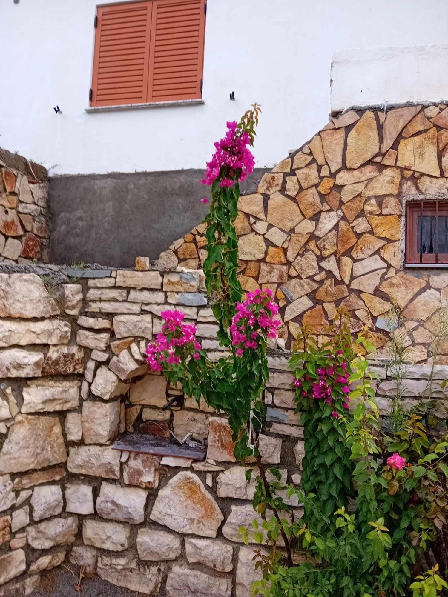 Villa Romario Berat Esterno foto